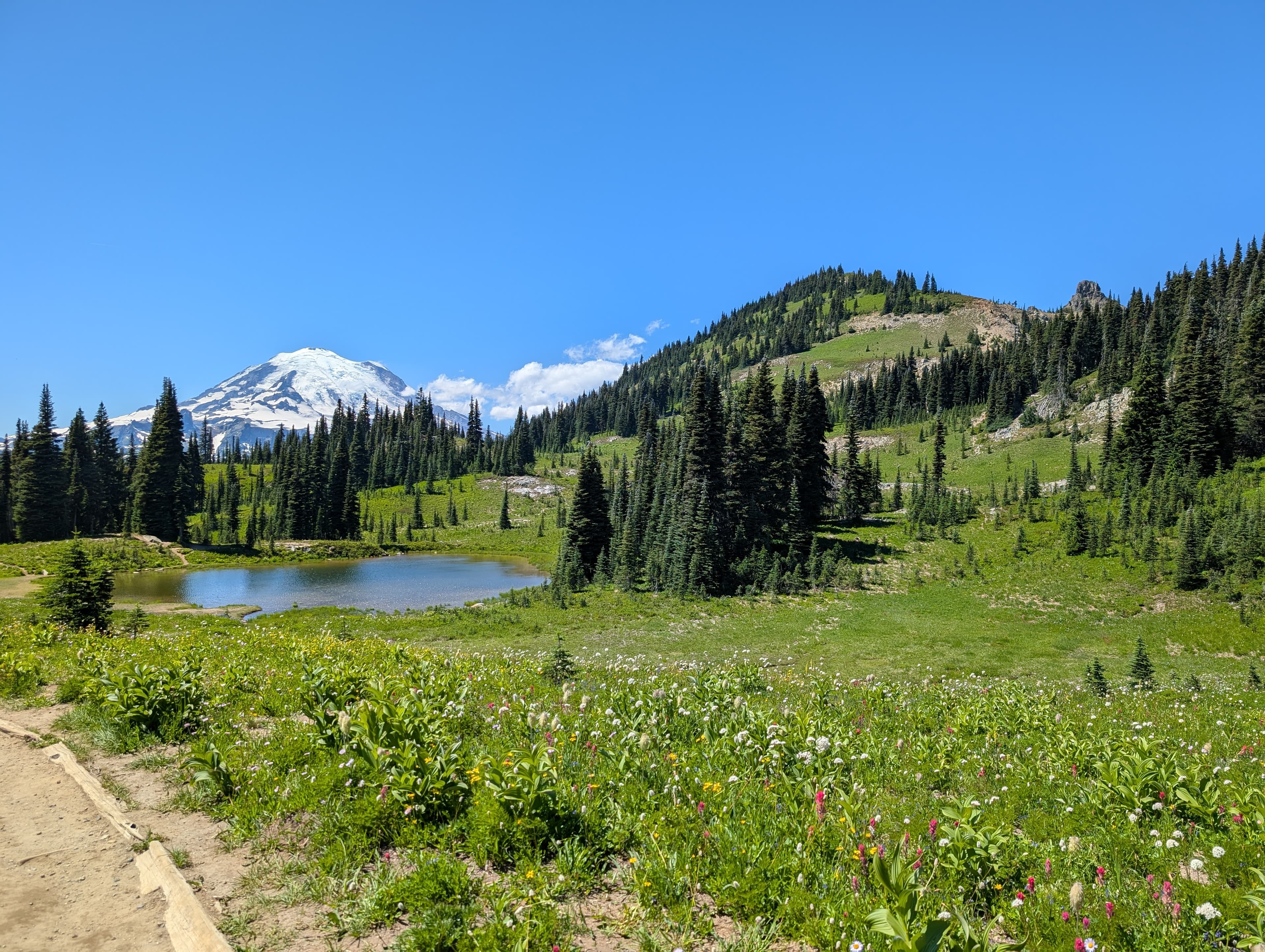 Naches Peak Trail