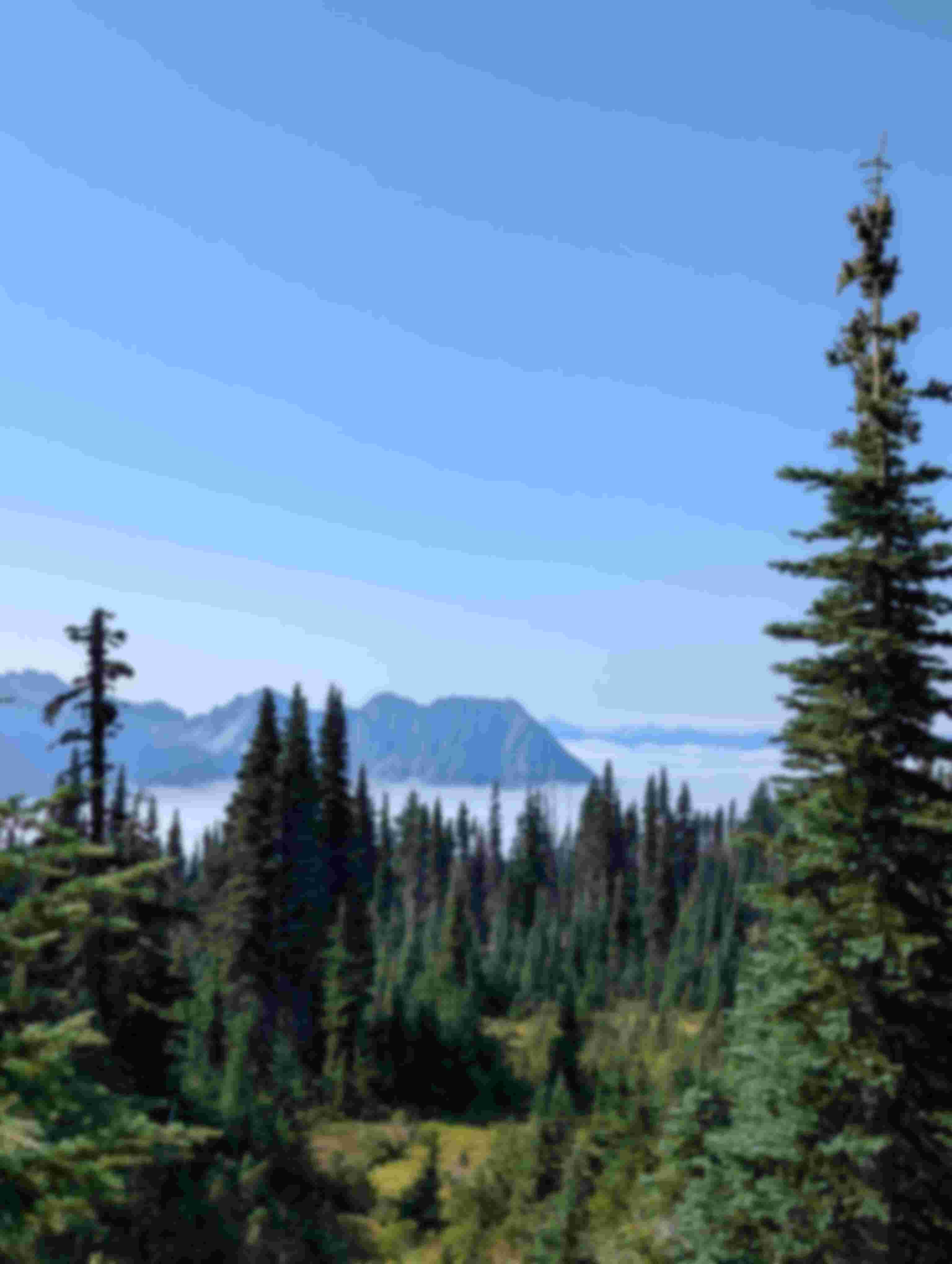 Skyline Trail