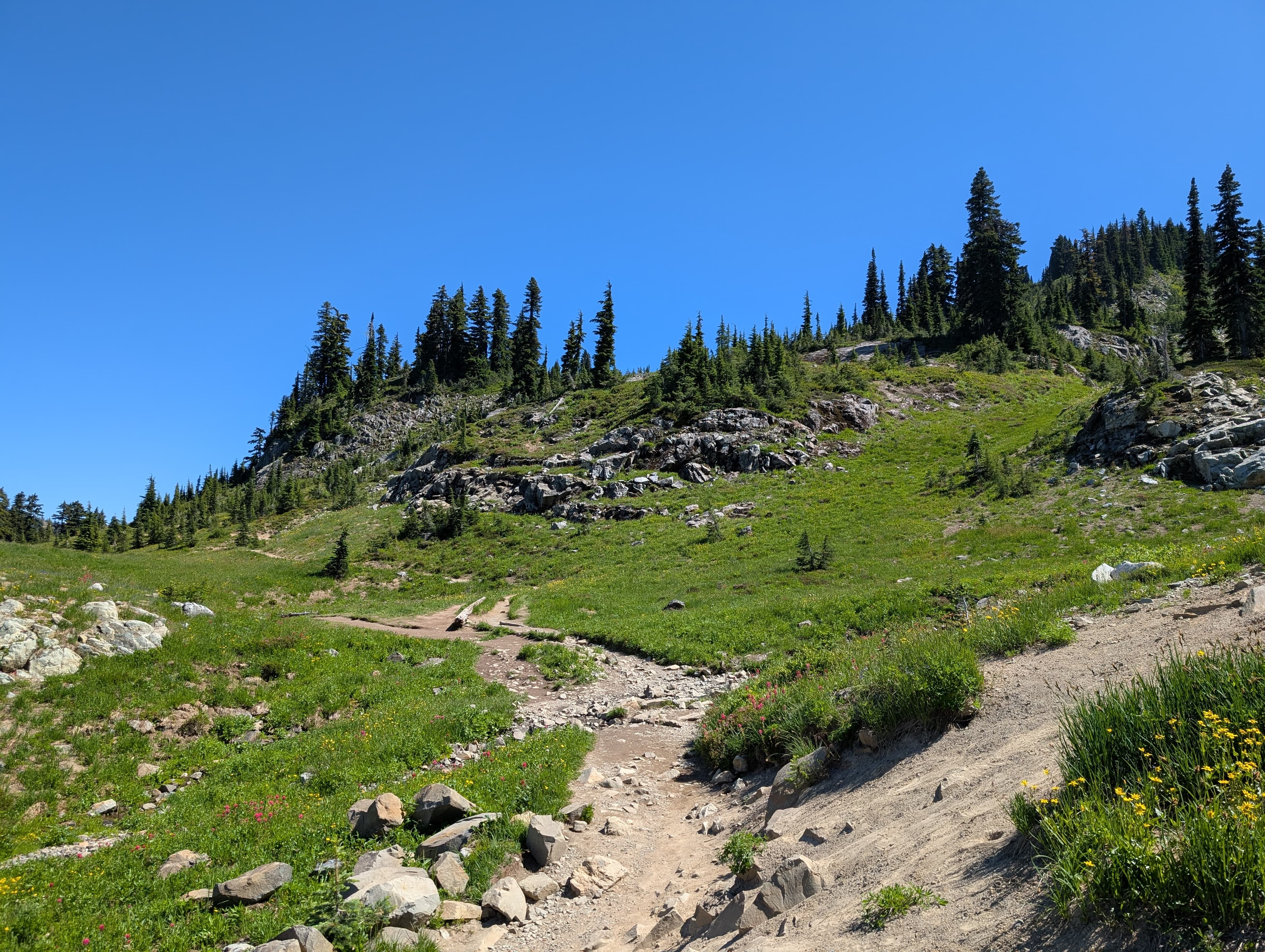 Naches Peak summer scene