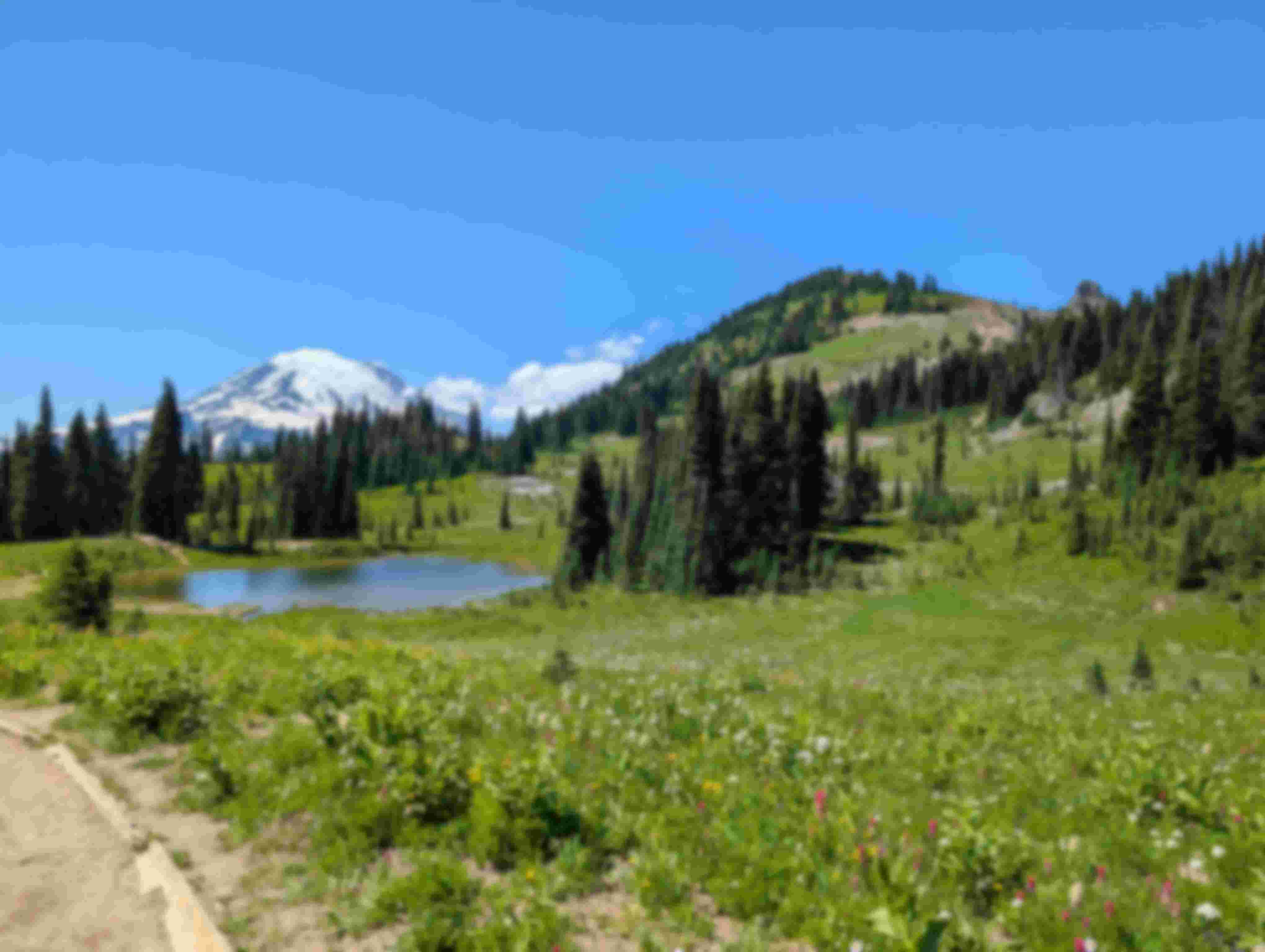 Naches Peak Trail