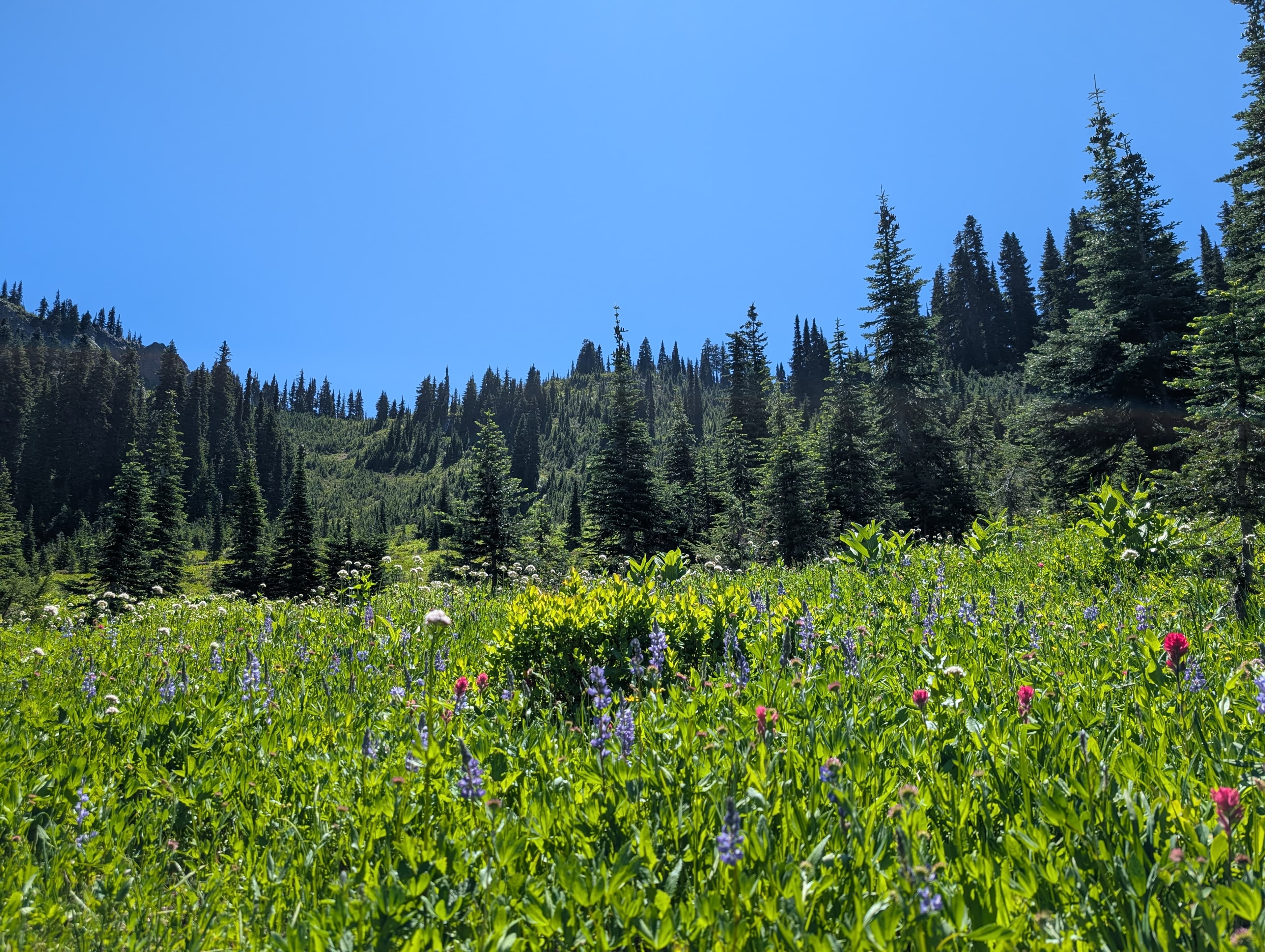 Naches Peak overlook