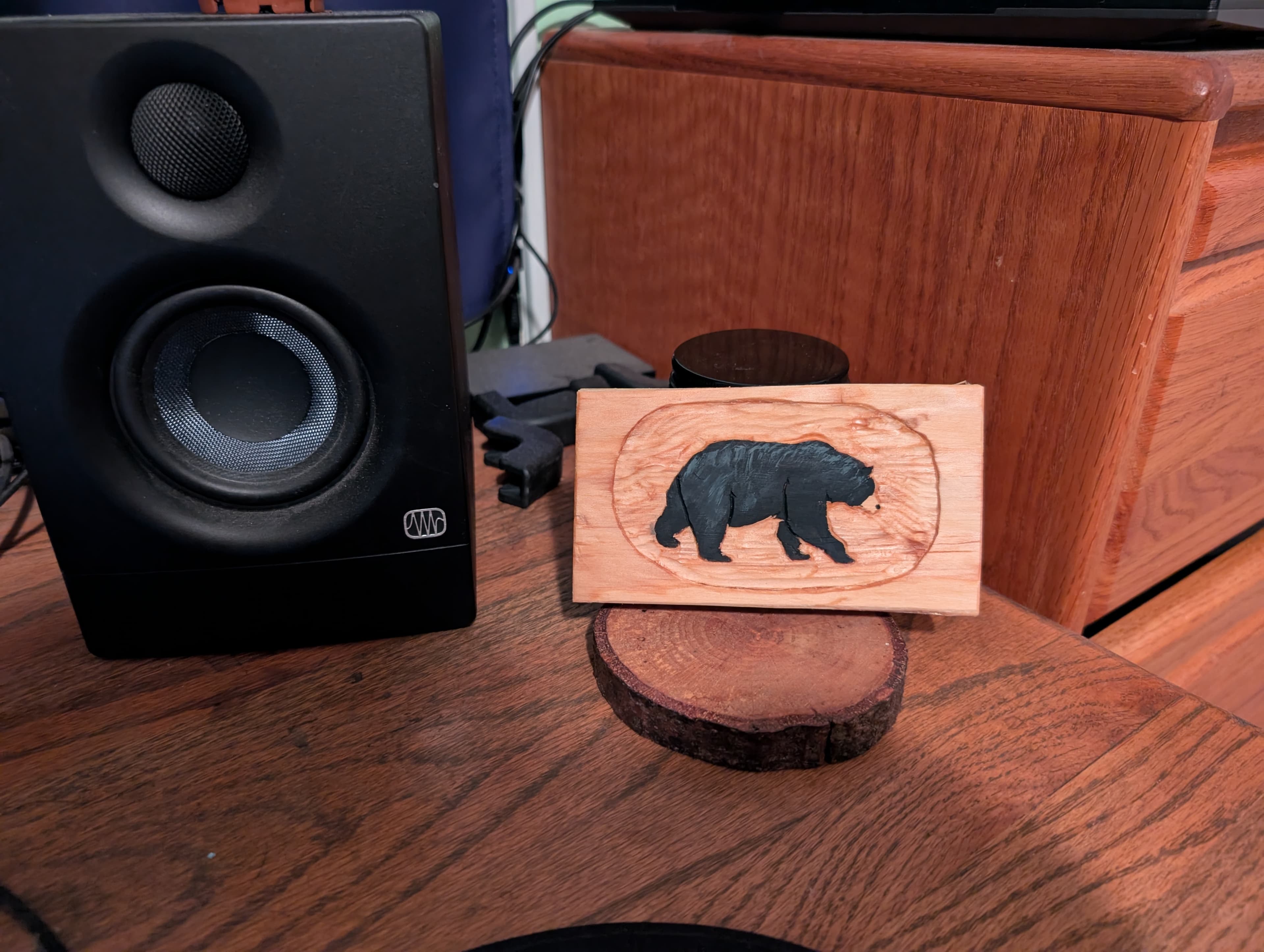 Black Bear - Image 5