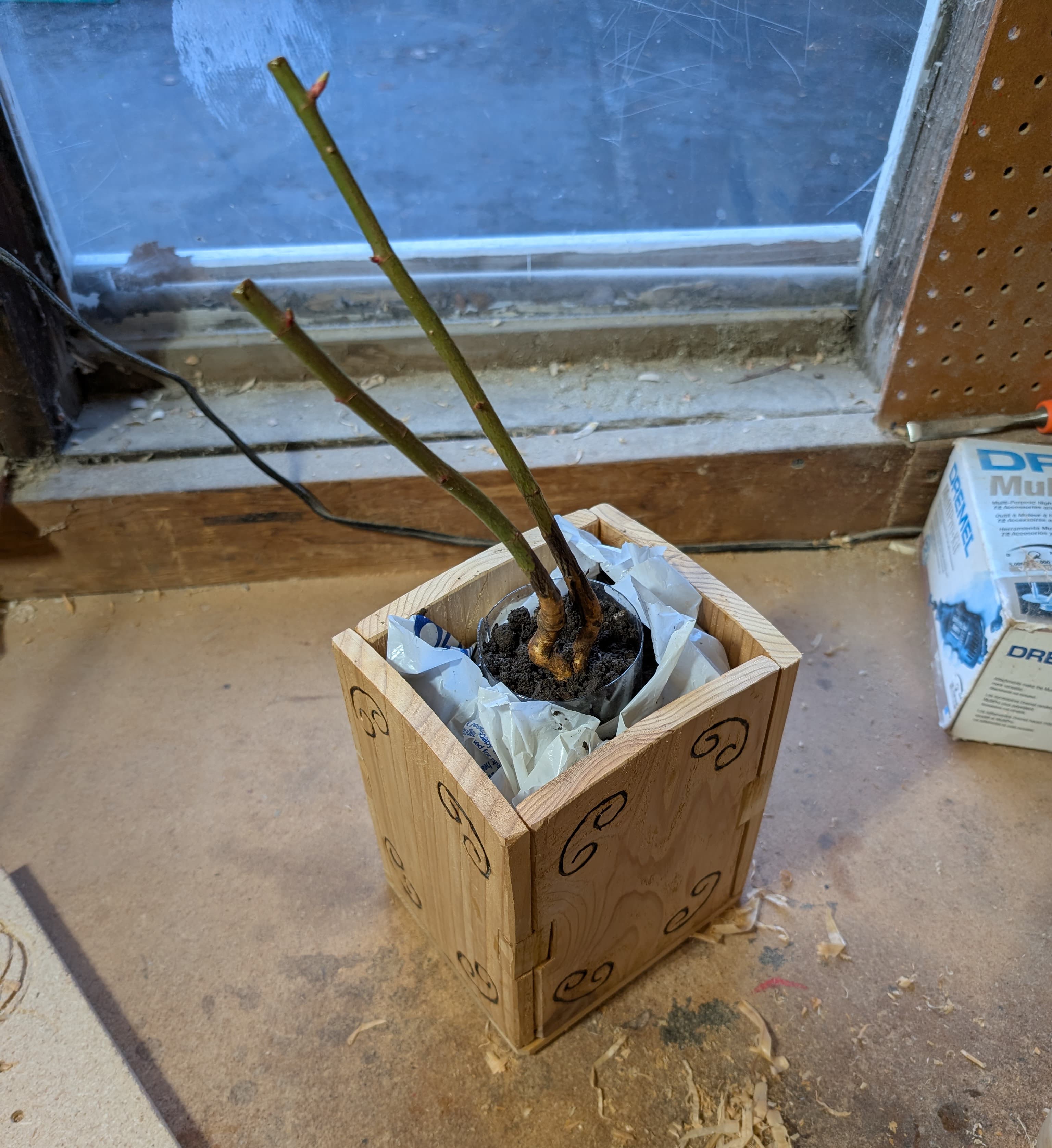 Flower Box - Image 4