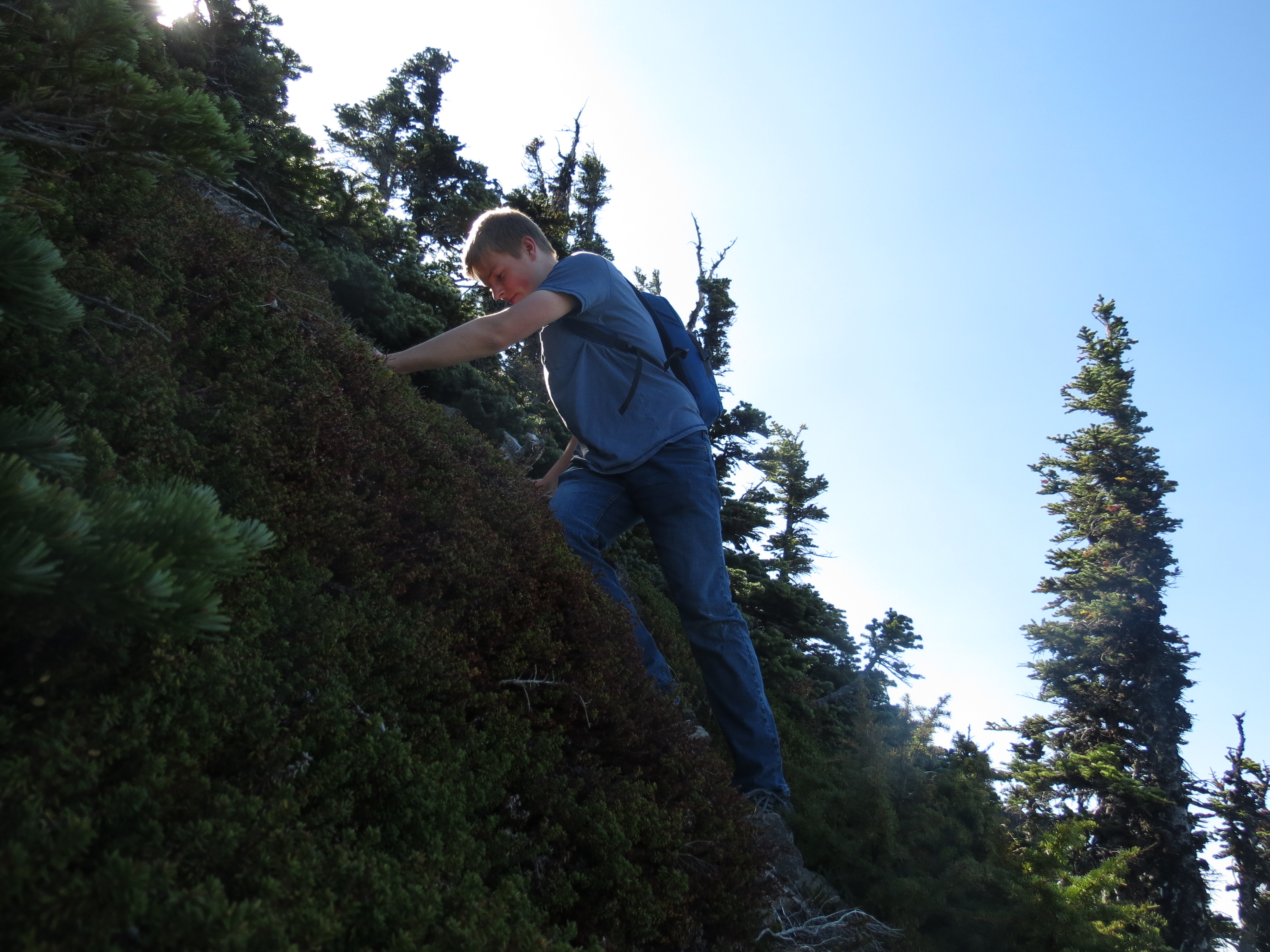 Trail album photo