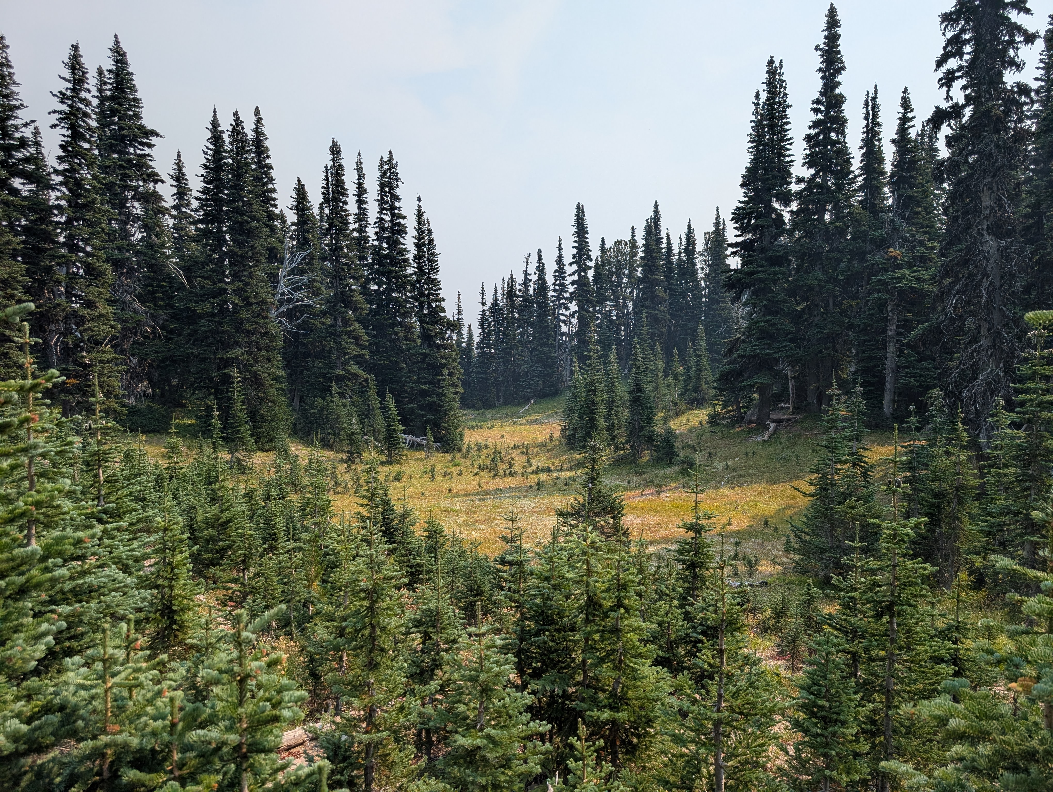 Trail album photo