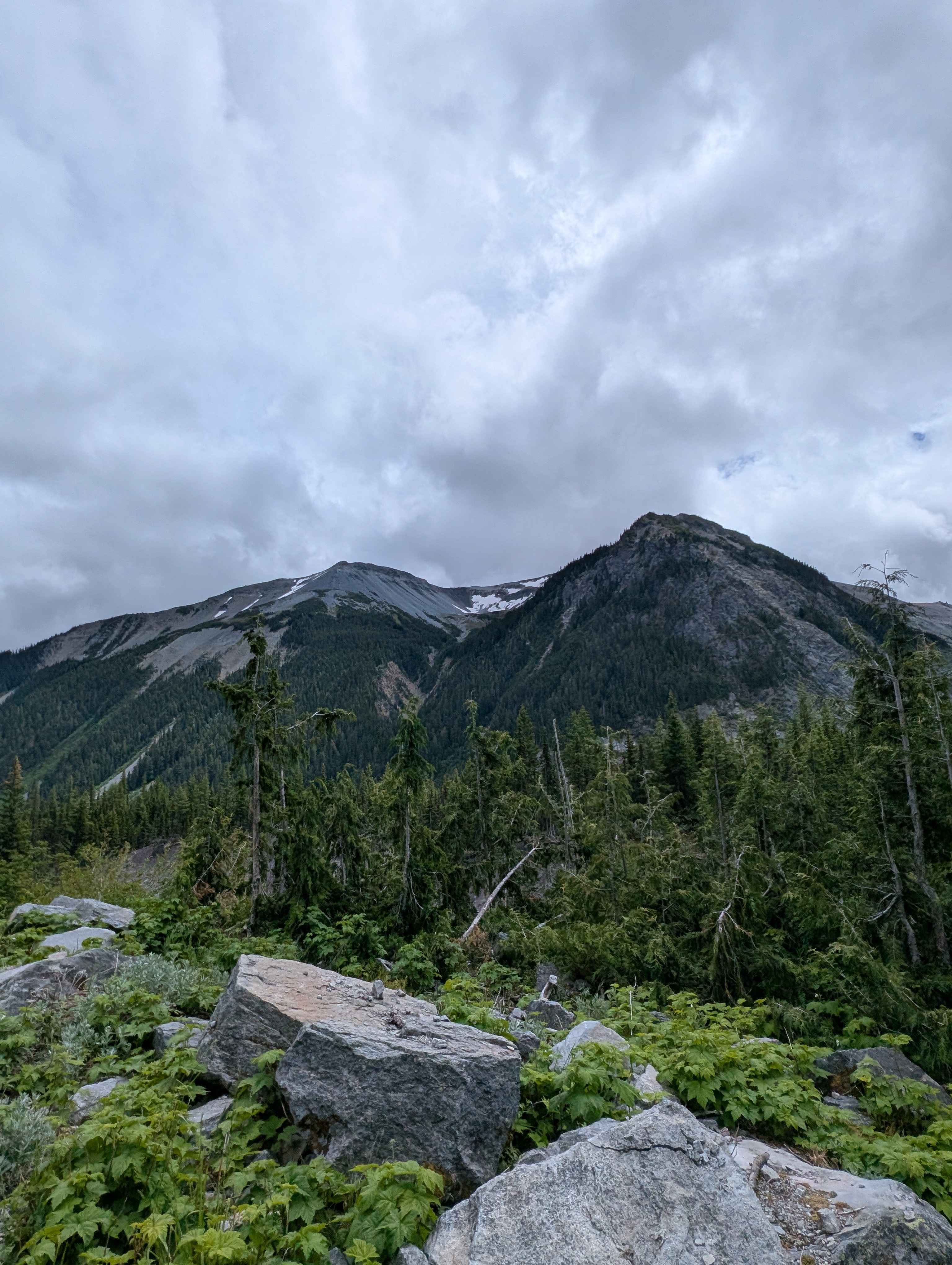Trail album photo