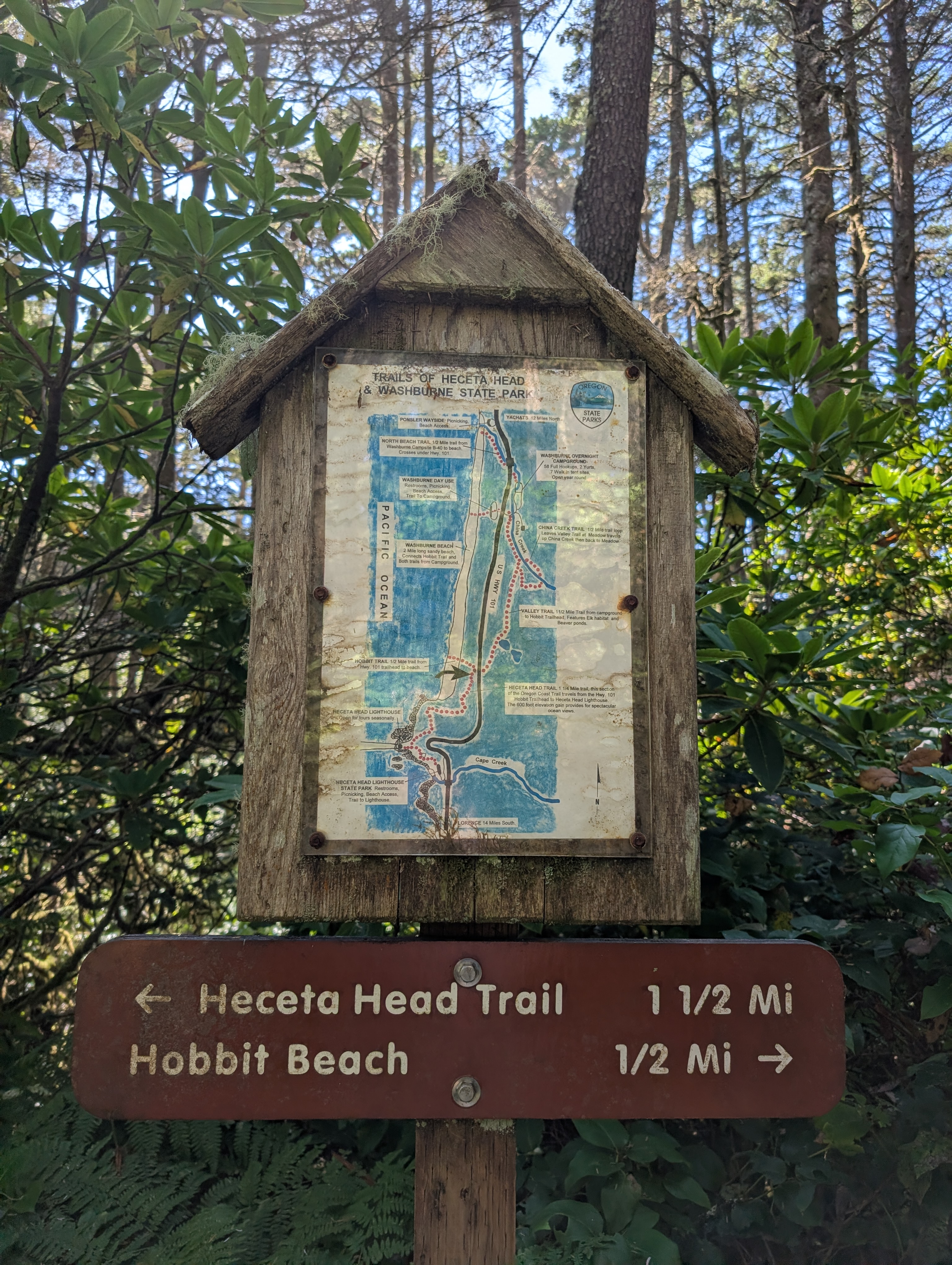 Trail album photo