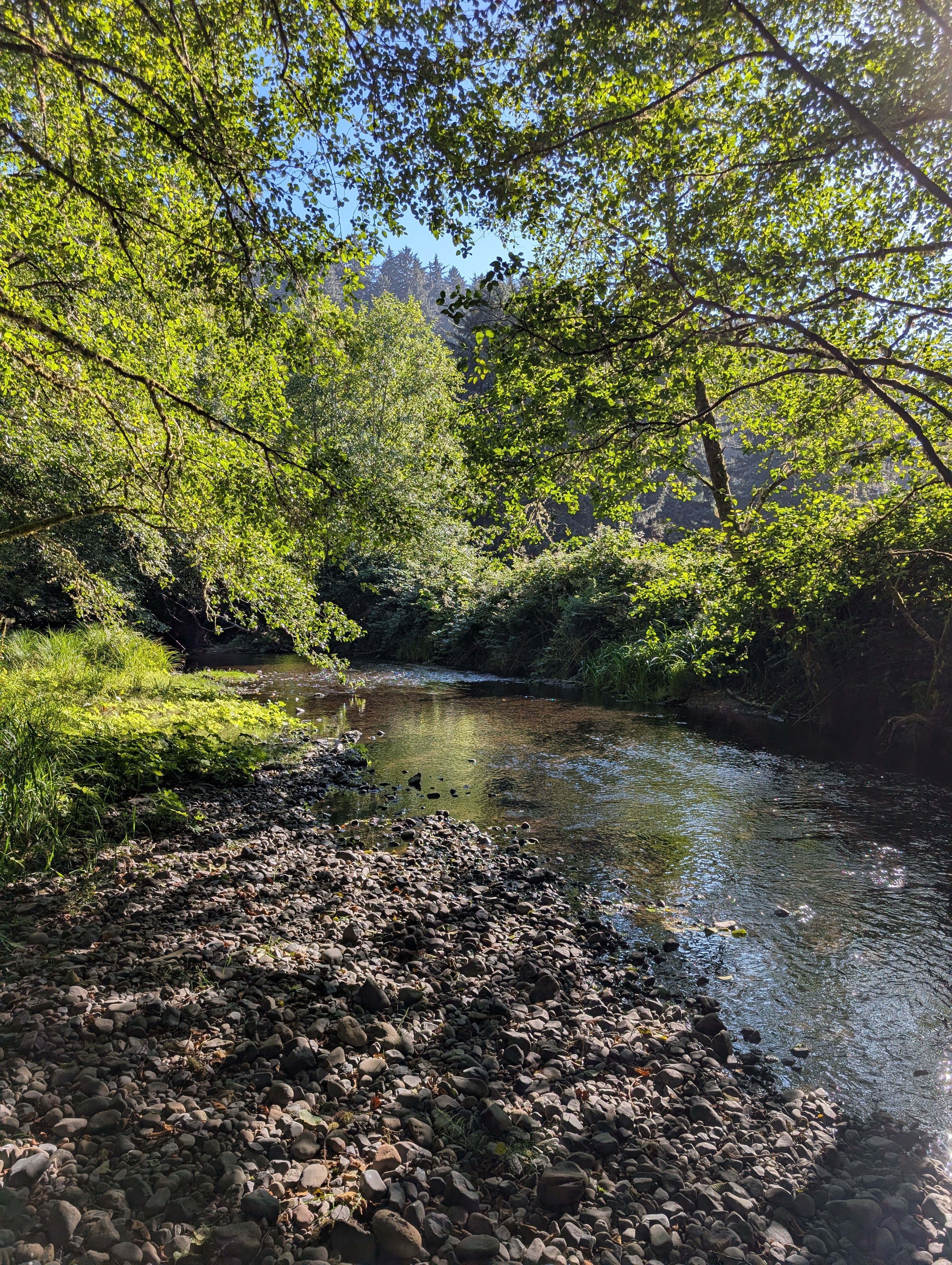 Trail album photo