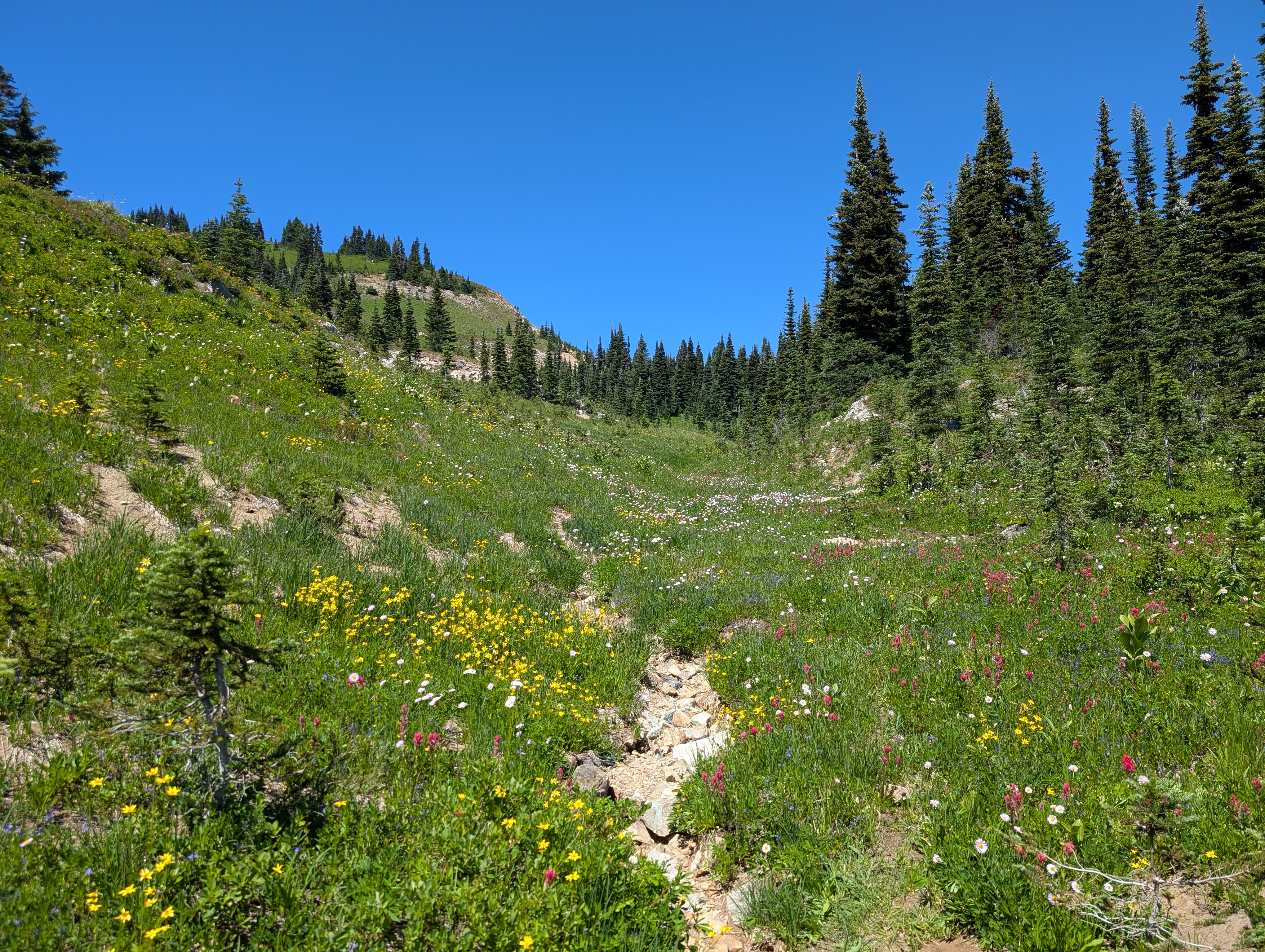 Trail album photo