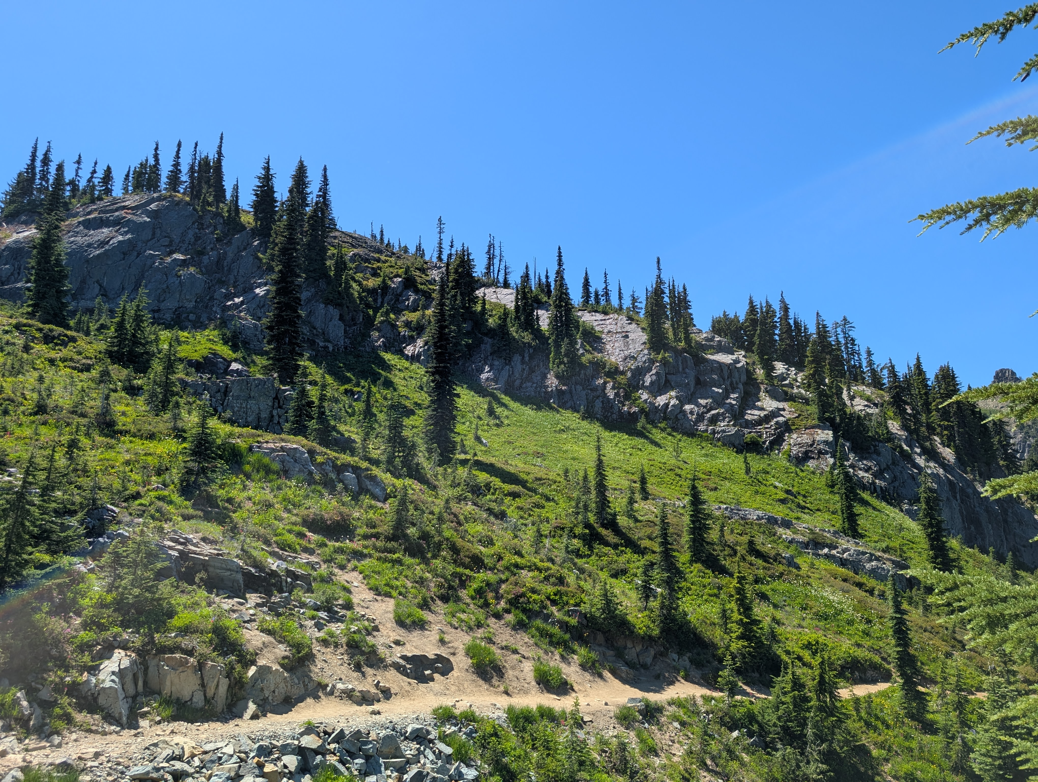 Trail album photo