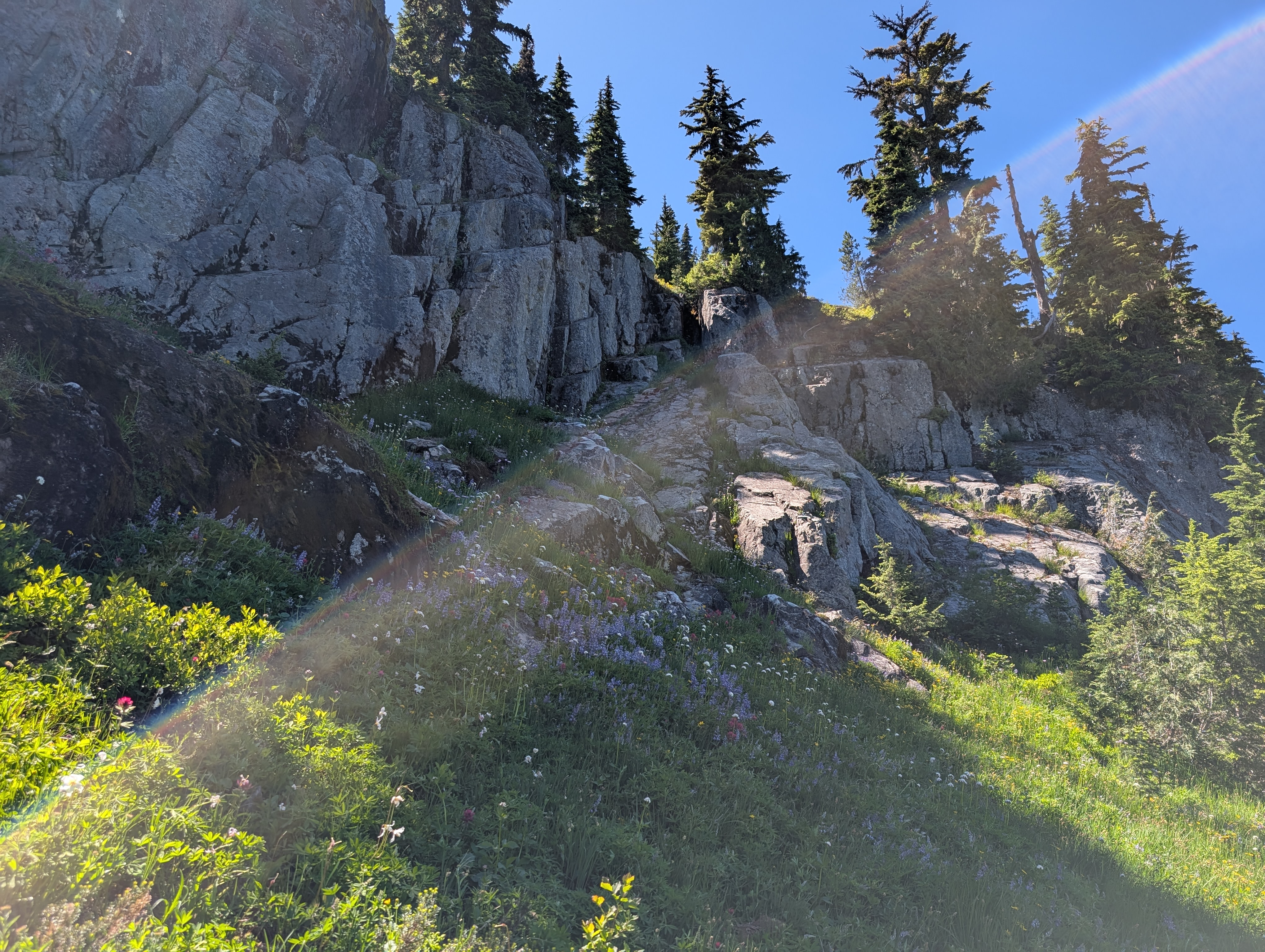 Trail album photo