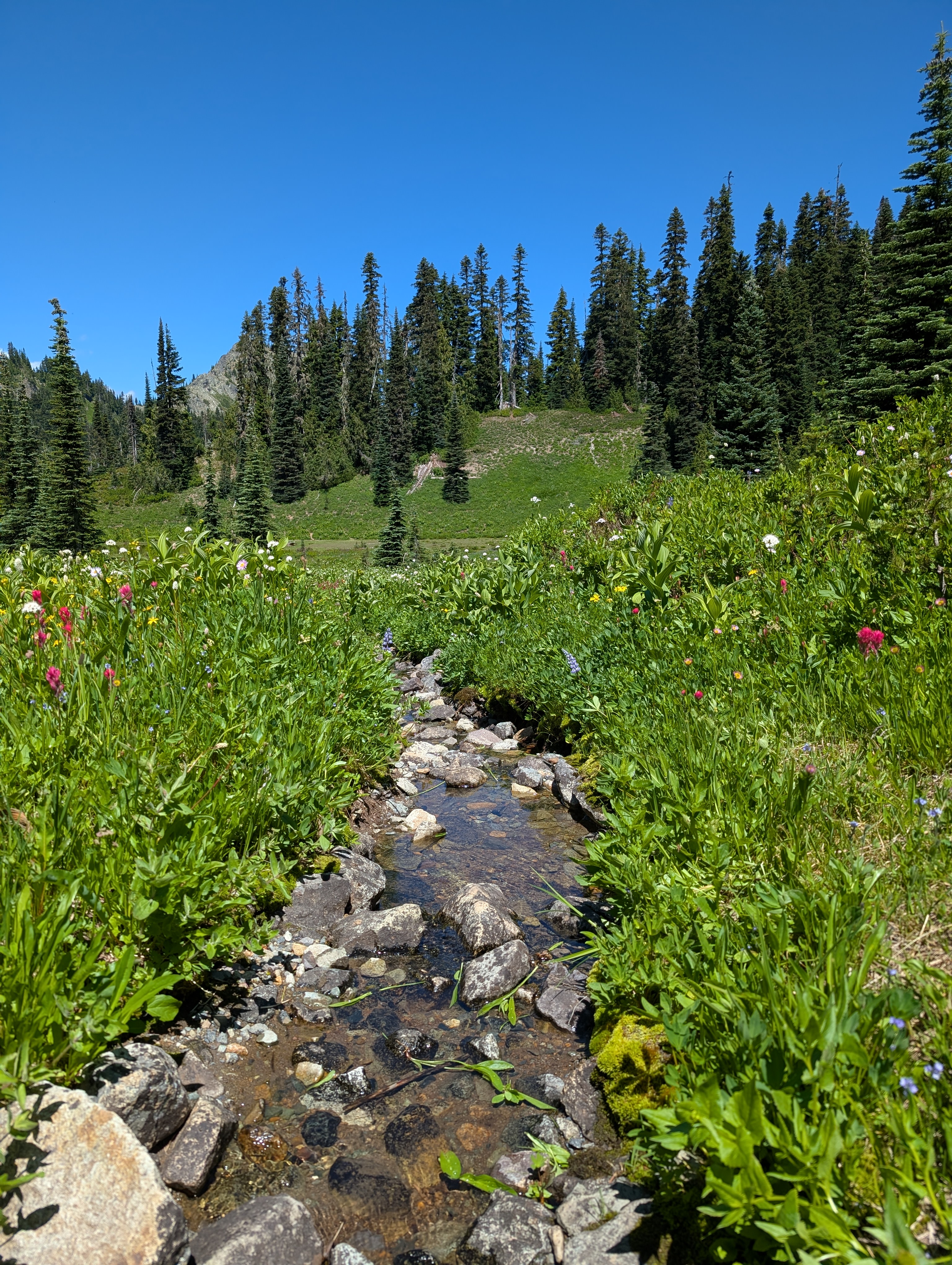 Trail album photo