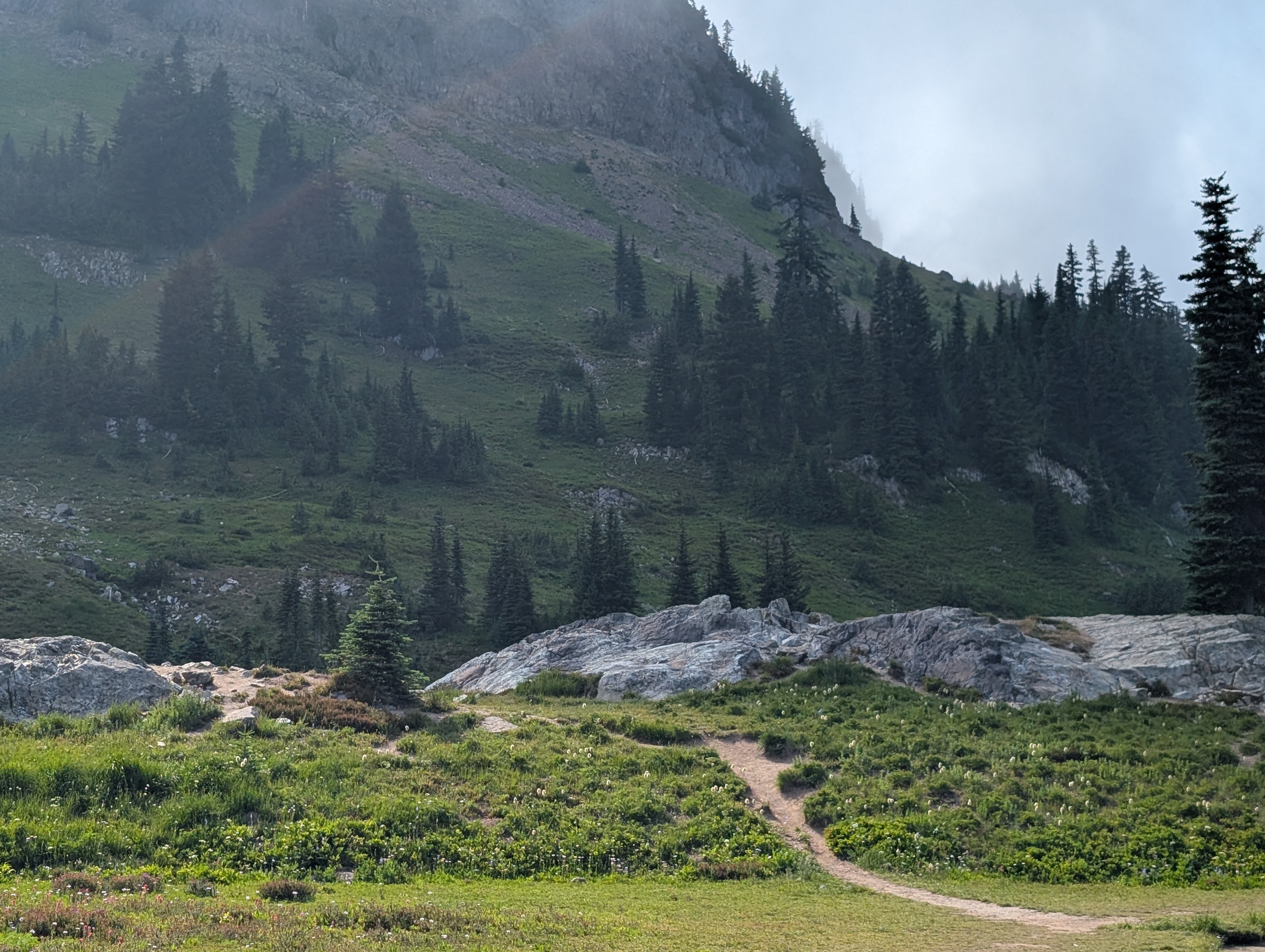 Trail album photo