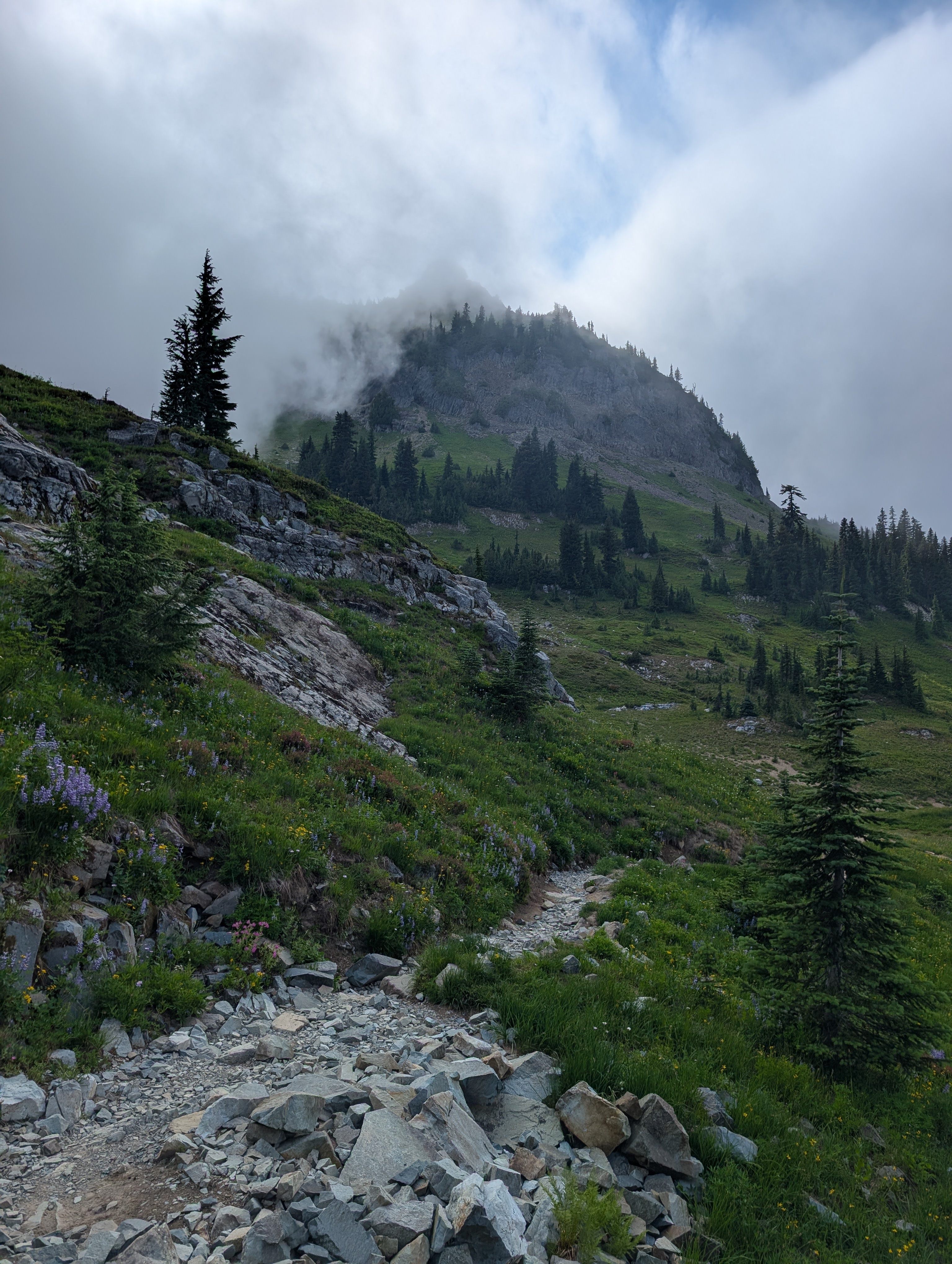 Trail album photo