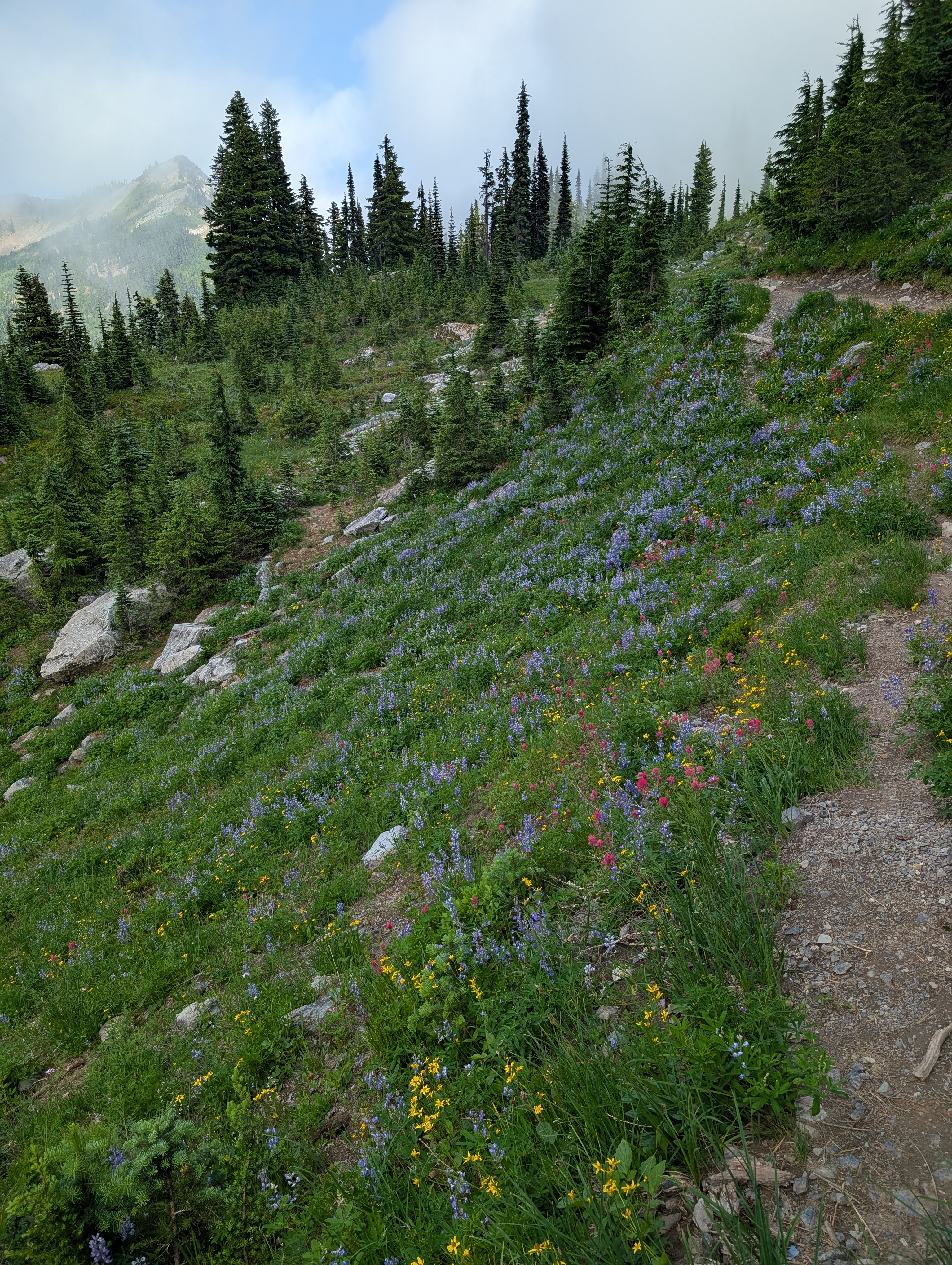 Trail album photo