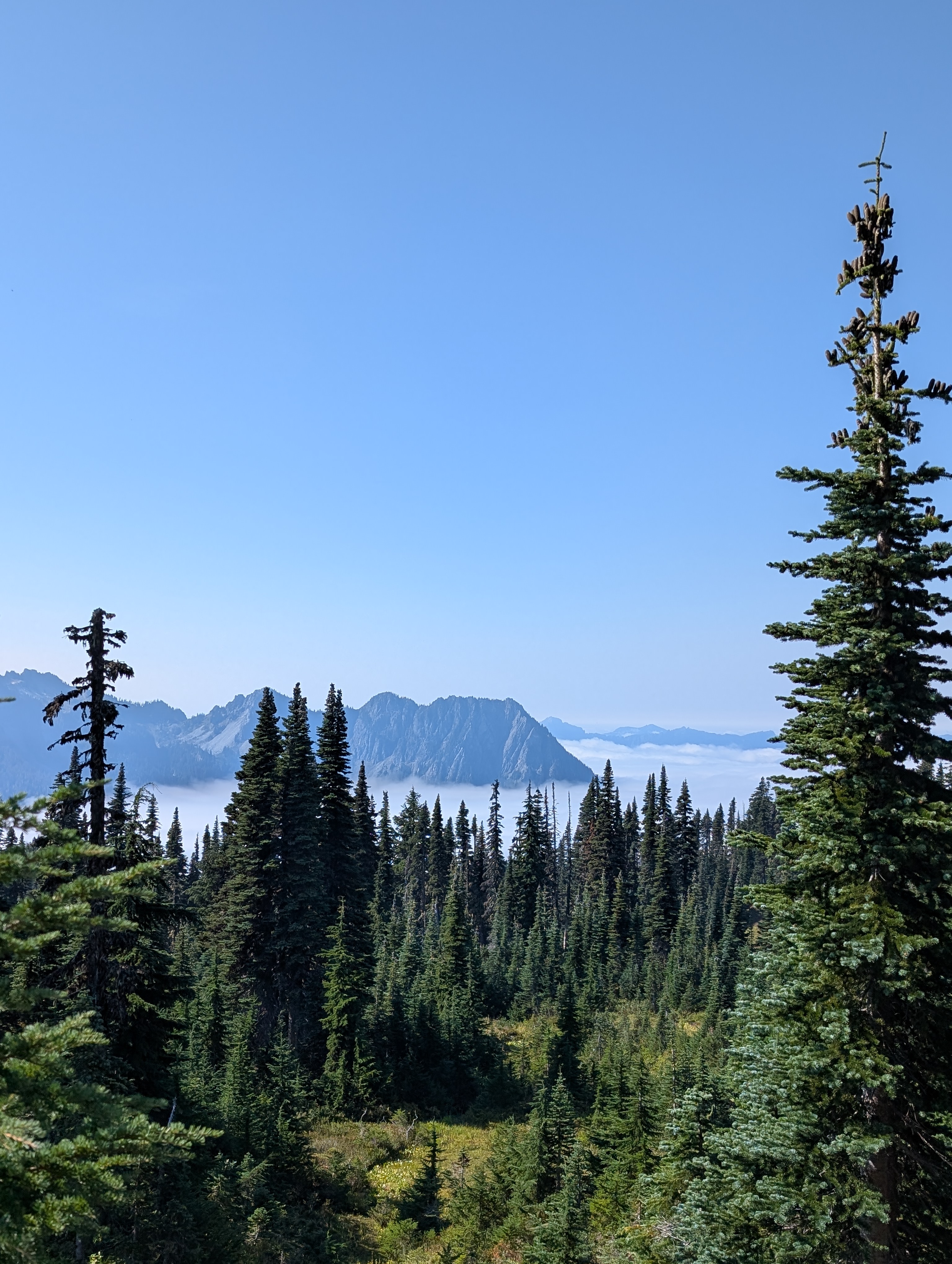 Trail album photo