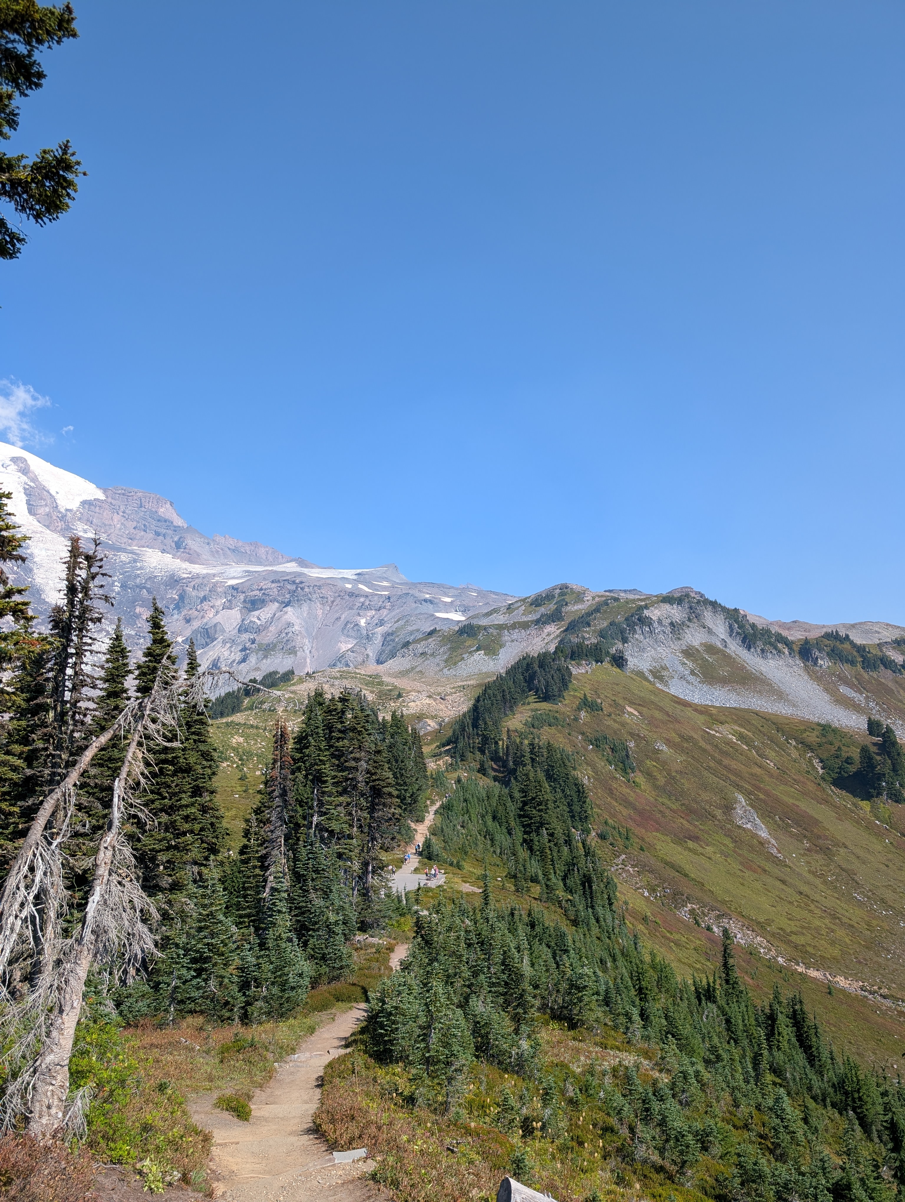 Trail album photo