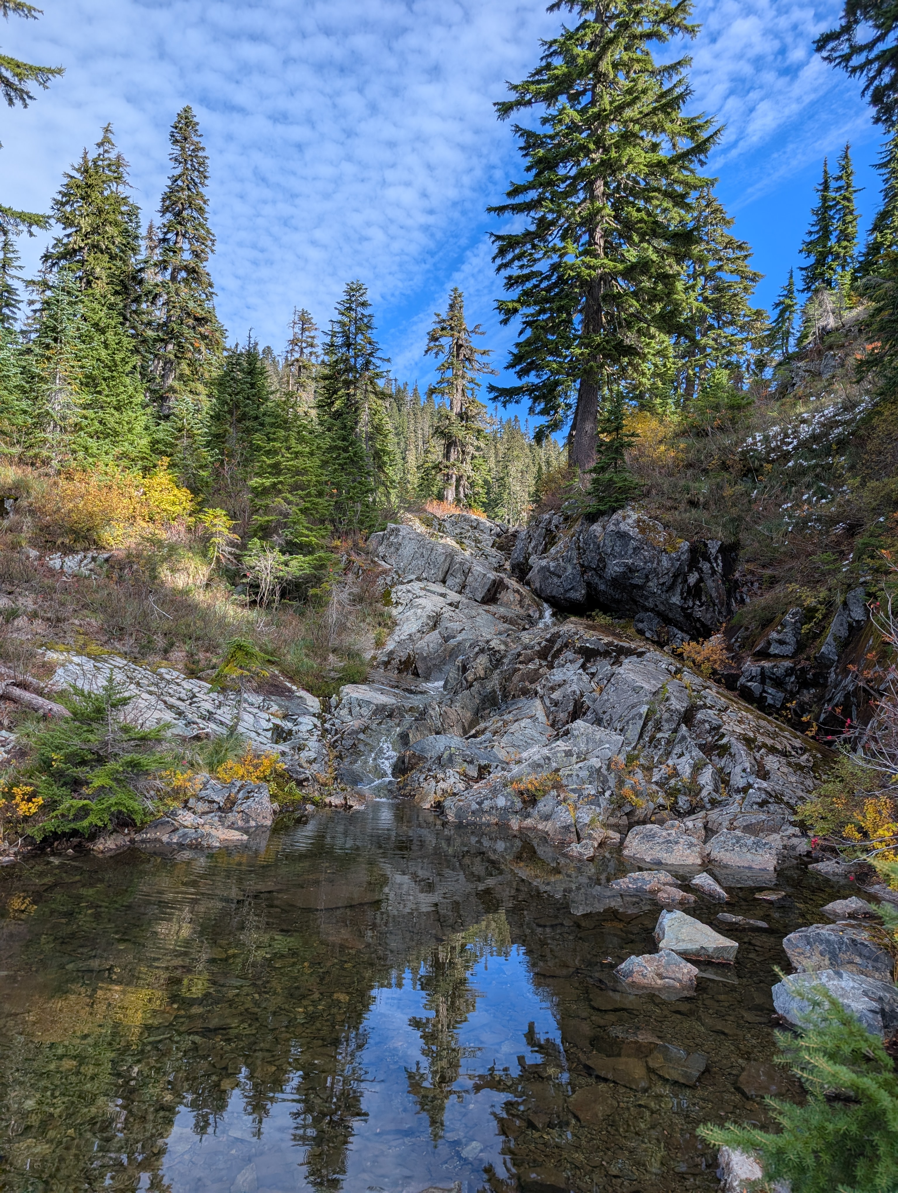 Trail album photo