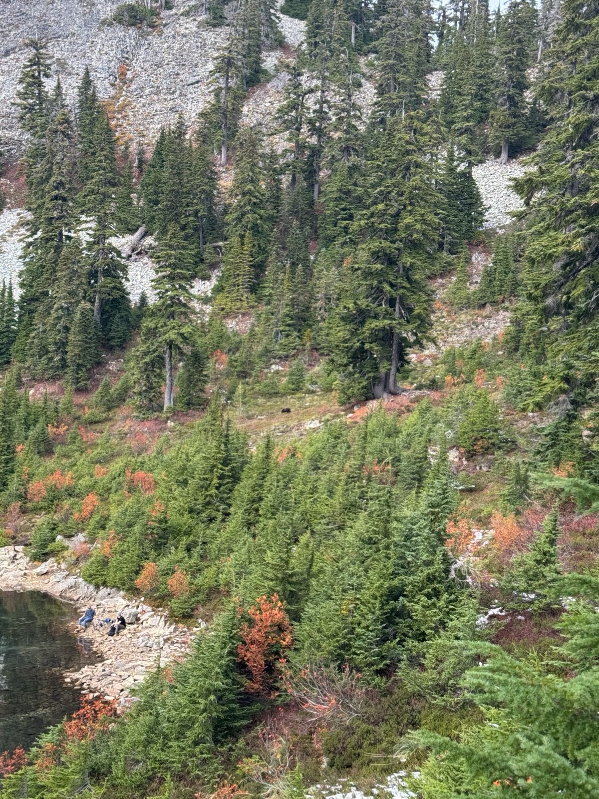 Trail album photo